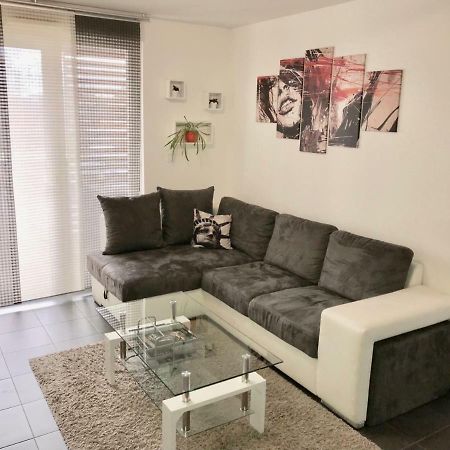Le T2 Appartement Moderne Avec Terrasse Et Parking ستراسبورغ المظهر الخارجي الصورة