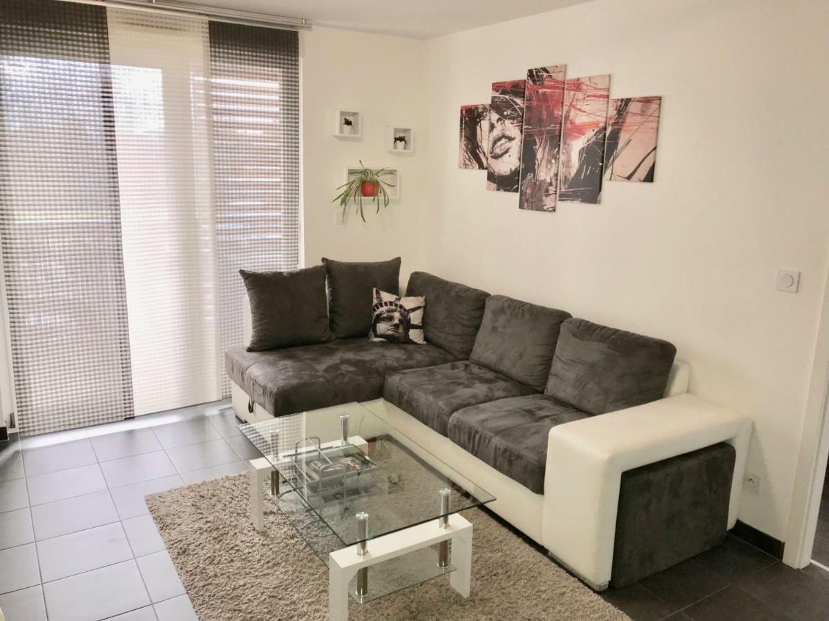 Le T2 Appartement Moderne Avec Terrasse Et Parking ستراسبورغ المظهر الخارجي الصورة